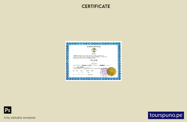 listo para imprimir certificado de matrimonio de Belice Plantilla en Word y PDF